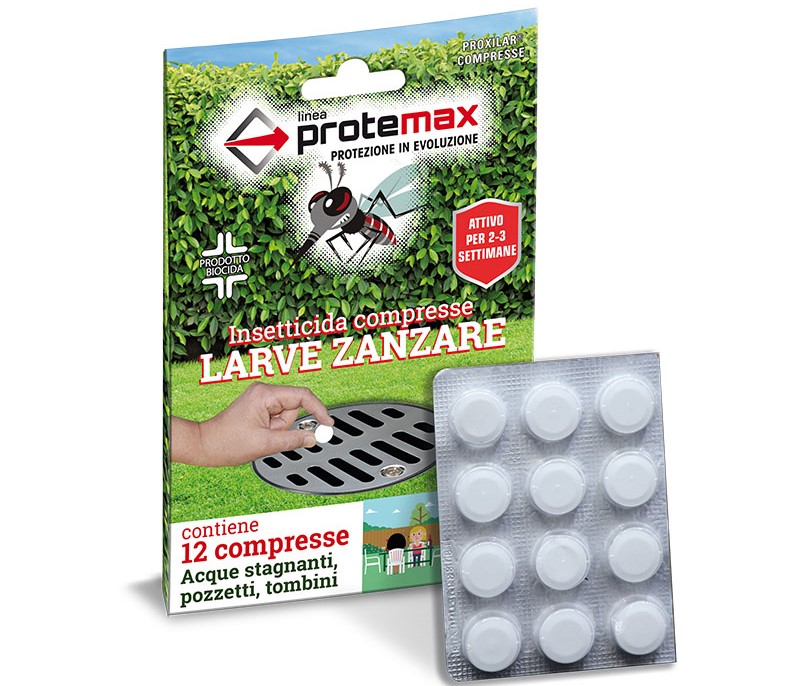 Larve Zanzare