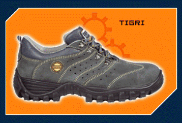 Modello Tigri S1/S1P